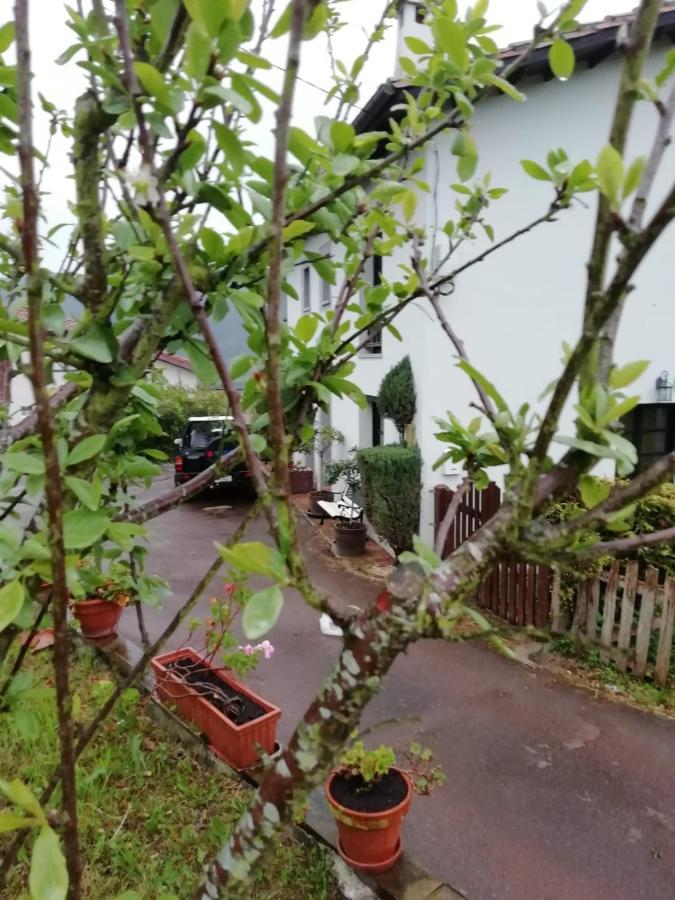 Pensjonat El Oteru I Villaviciosa  Zewnętrze zdjęcie