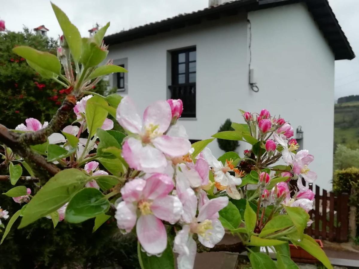 Pensjonat El Oteru I Villaviciosa  Zewnętrze zdjęcie