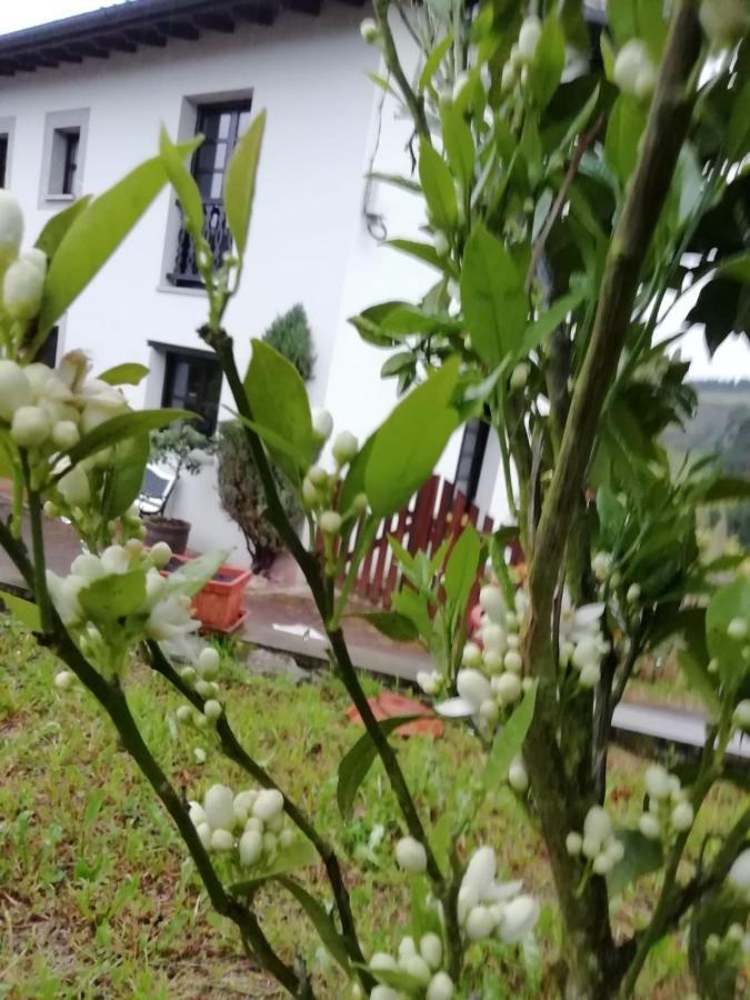 Pensjonat El Oteru I Villaviciosa  Zewnętrze zdjęcie