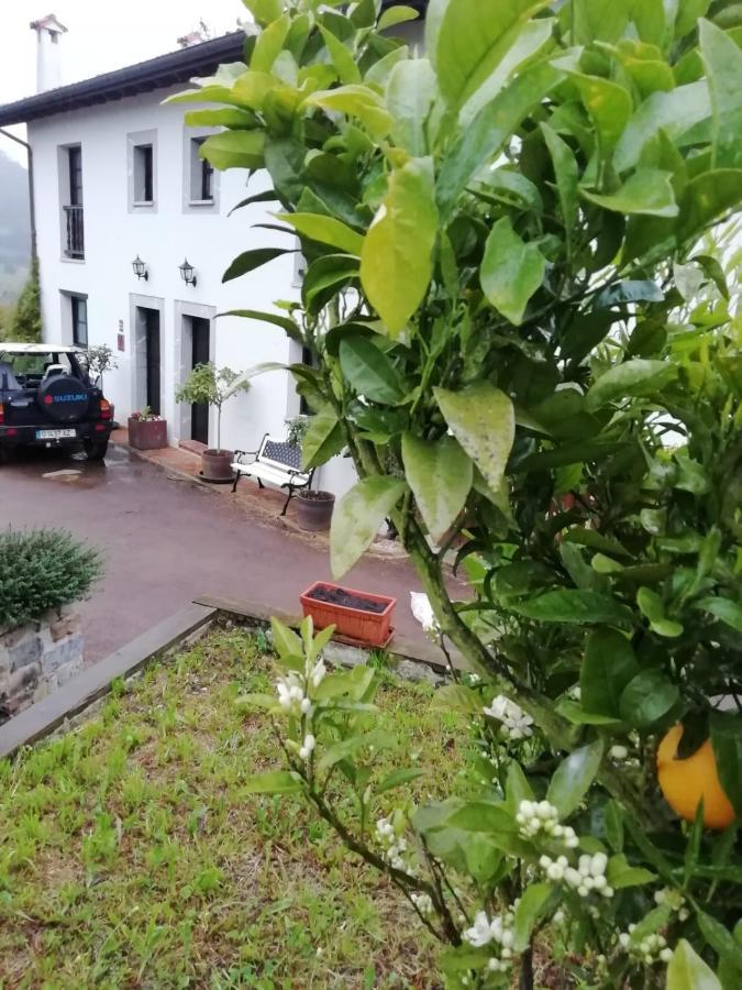 Pensjonat El Oteru I Villaviciosa  Zewnętrze zdjęcie
