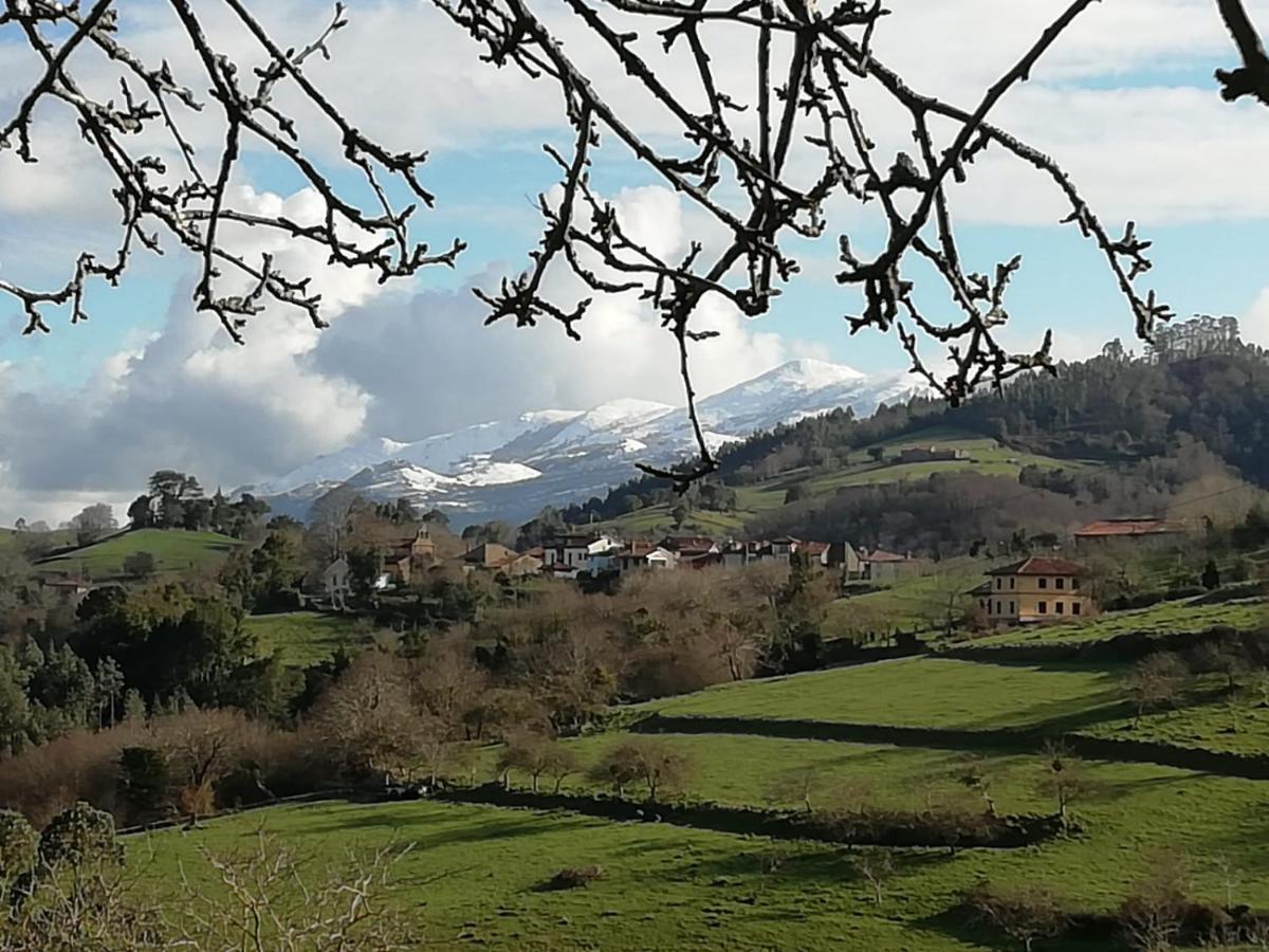 Pensjonat El Oteru I Villaviciosa  Zewnętrze zdjęcie