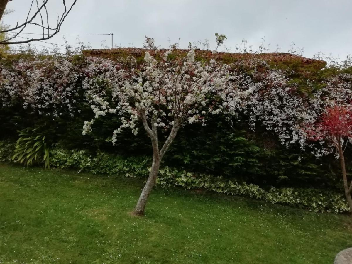 Pensjonat El Oteru I Villaviciosa  Zewnętrze zdjęcie