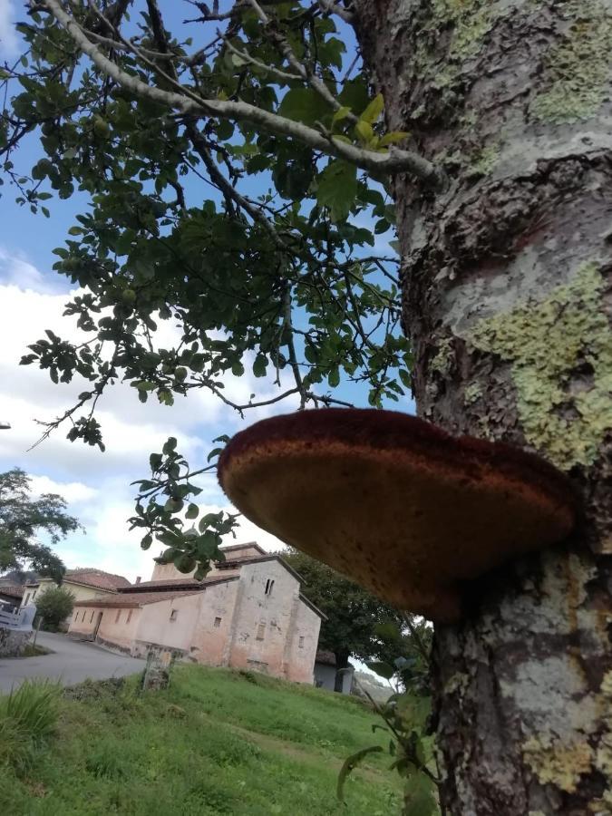Pensjonat El Oteru I Villaviciosa  Zewnętrze zdjęcie
